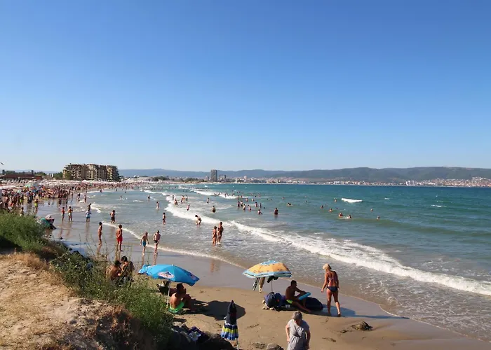 Kasandra 'д' 5 Sunny *